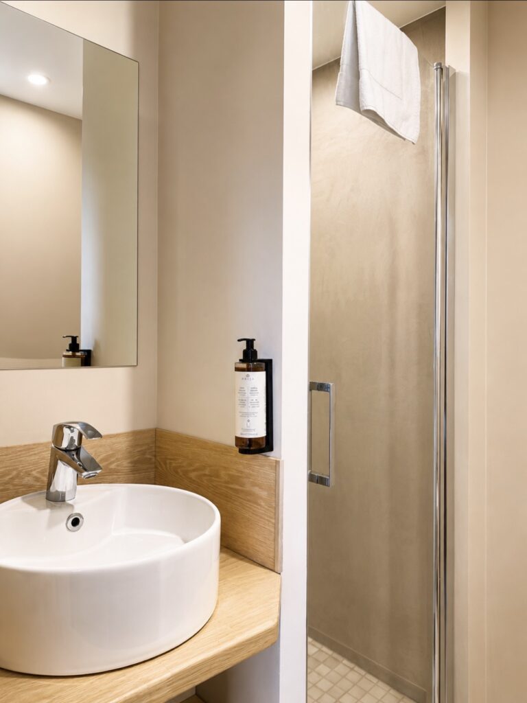Chambre simple avec salle d’eau à l’Hôtel Le Petit Périer à Laval